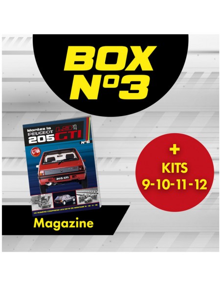 Peugeot 205 GTi BOX 3