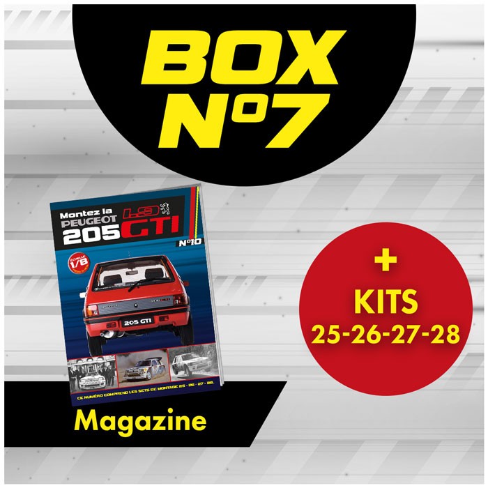 Peugeot 205 GTi BOX 7