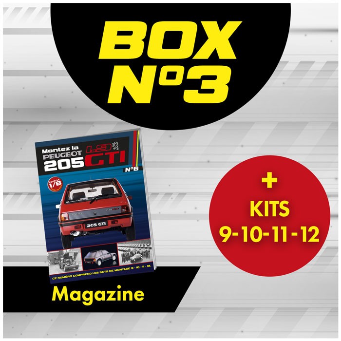 Peugeot 205 GTi BOX 3