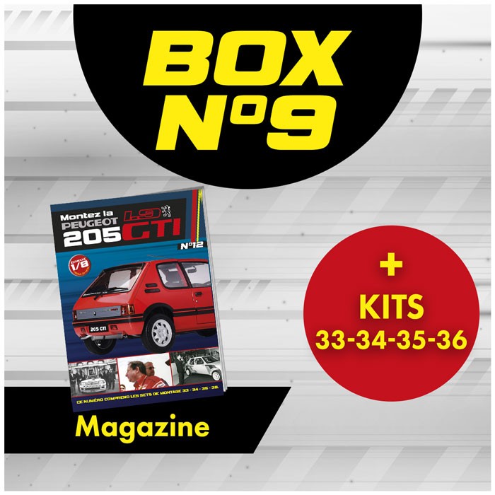 Peugeot 205 GTi BOX 9