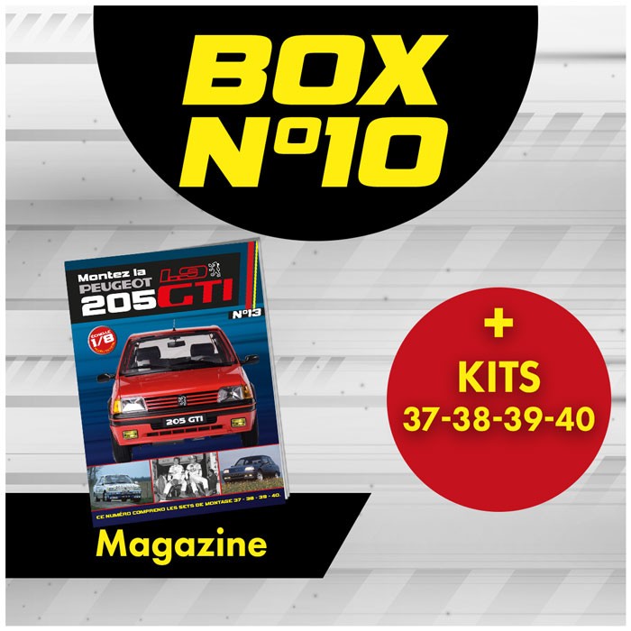 Peugeot 205 GTi BOX 10