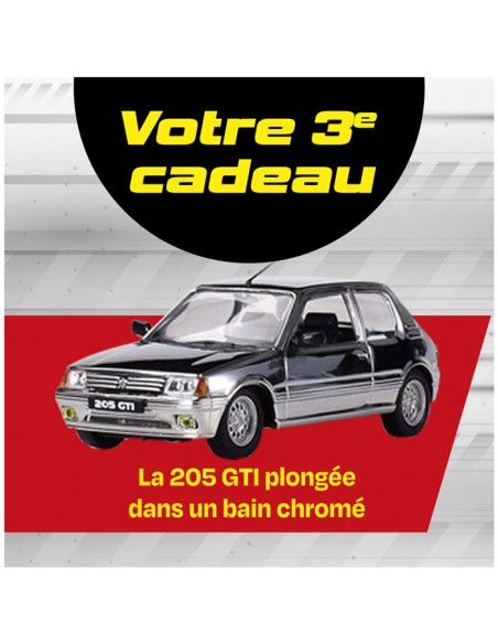 Peugeot 205 GTi BOX 10