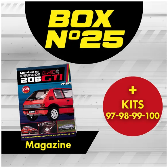 xPeugeot 205 GTi BOX 25